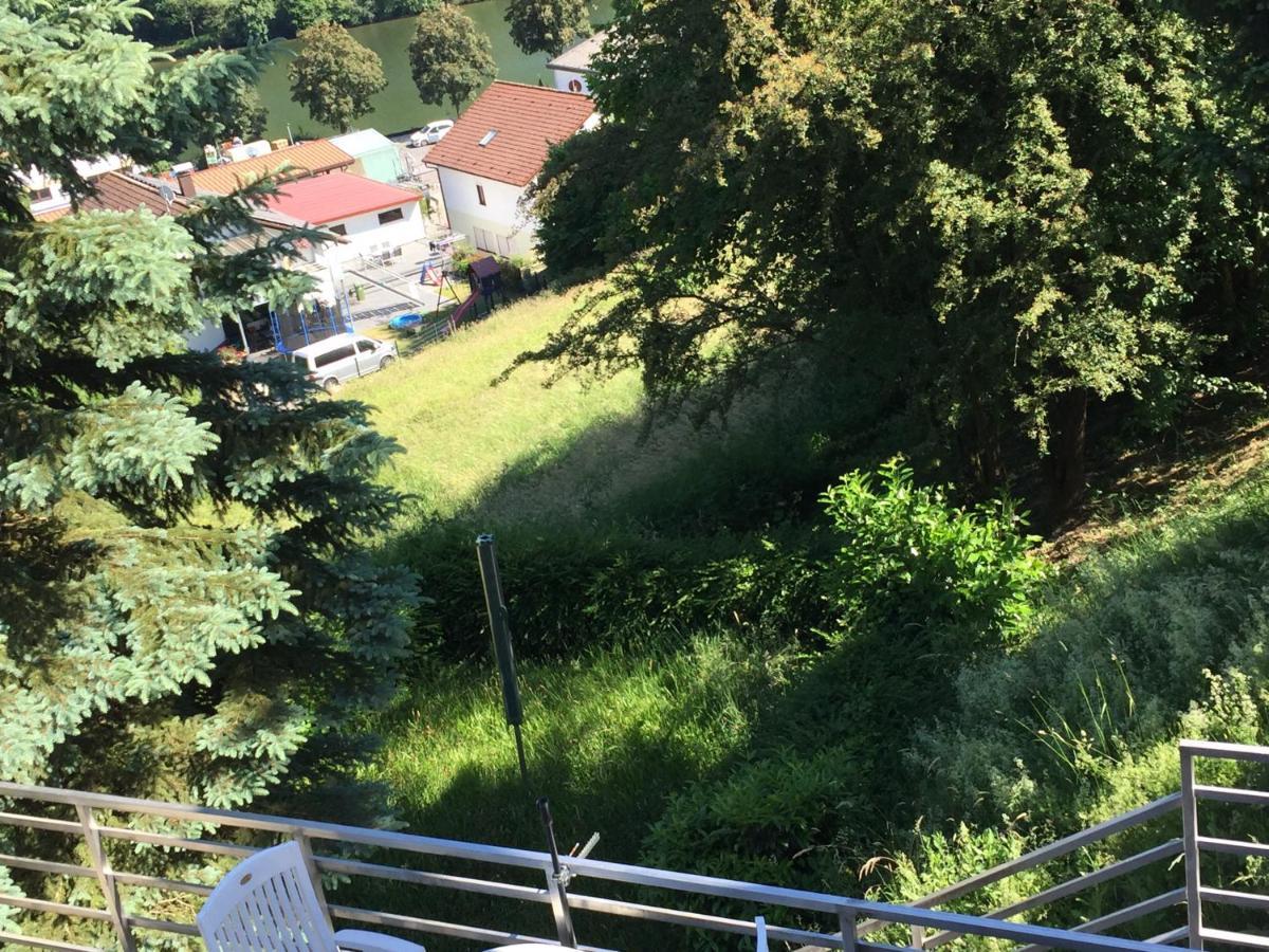 Apartament Luftkurort, Perle Des Neckartals Hirschhorn Zewnętrze zdjęcie