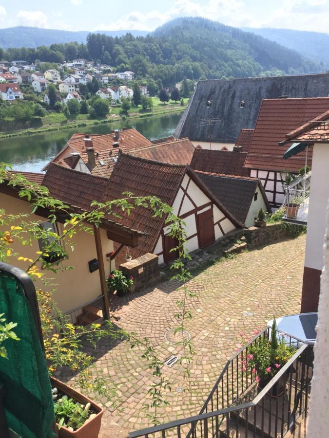 Apartament Luftkurort, Perle Des Neckartals Hirschhorn Zewnętrze zdjęcie