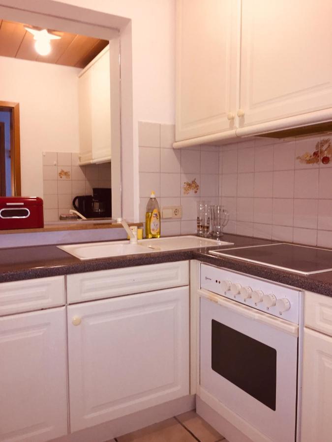 Apartament Luftkurort, Perle Des Neckartals Hirschhorn Zewnętrze zdjęcie