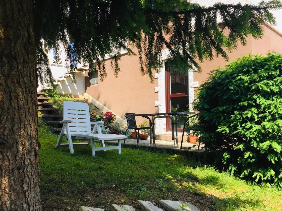 Apartament Luftkurort, Perle Des Neckartals Hirschhorn Zewnętrze zdjęcie