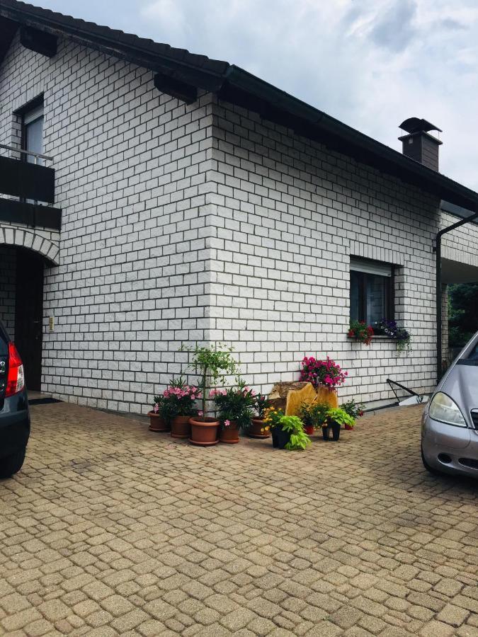 Apartament Luftkurort, Perle Des Neckartals Hirschhorn Zewnętrze zdjęcie