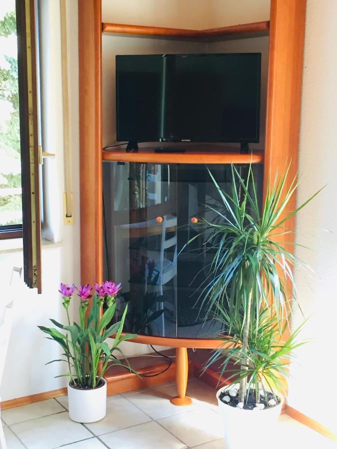 Apartament Luftkurort, Perle Des Neckartals Hirschhorn Zewnętrze zdjęcie