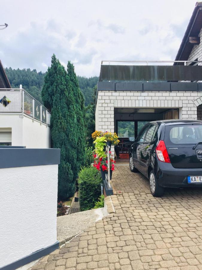 Apartament Luftkurort, Perle Des Neckartals Hirschhorn Zewnętrze zdjęcie
