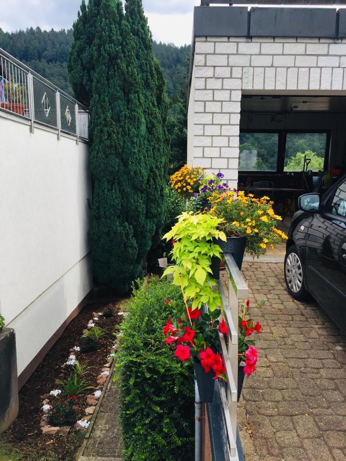 Apartament Luftkurort, Perle Des Neckartals Hirschhorn Zewnętrze zdjęcie