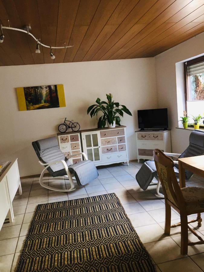 Apartament Luftkurort, Perle Des Neckartals Hirschhorn Zewnętrze zdjęcie
