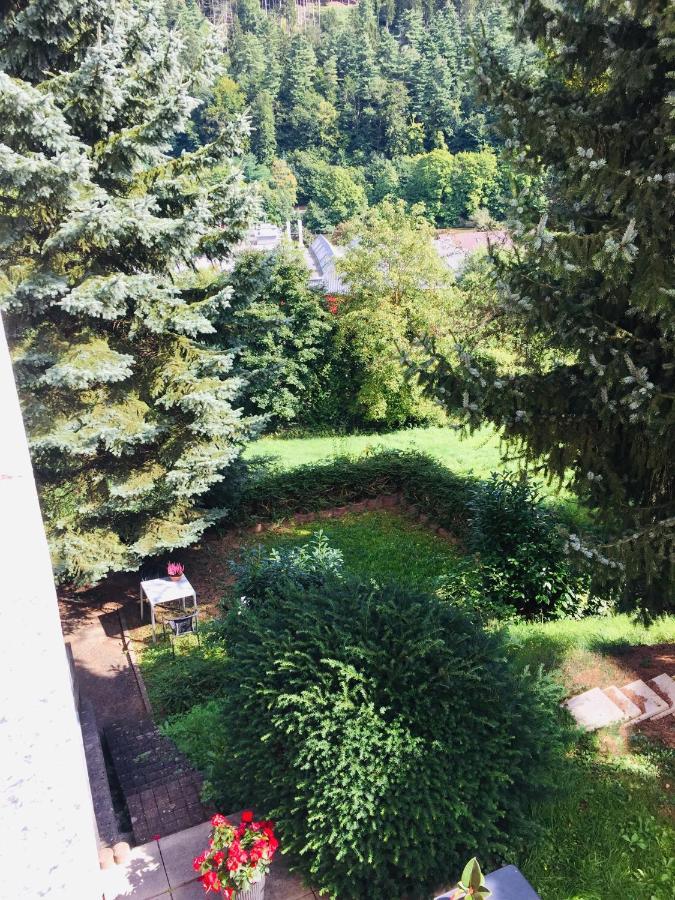 Apartament Luftkurort, Perle Des Neckartals Hirschhorn Zewnętrze zdjęcie