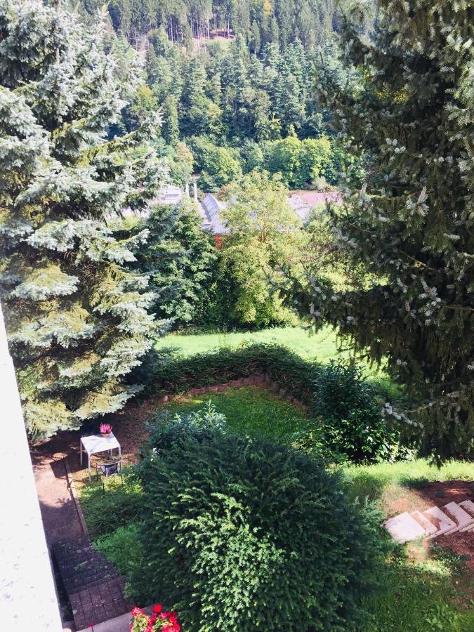 Apartament Luftkurort, Perle Des Neckartals Hirschhorn Zewnętrze zdjęcie