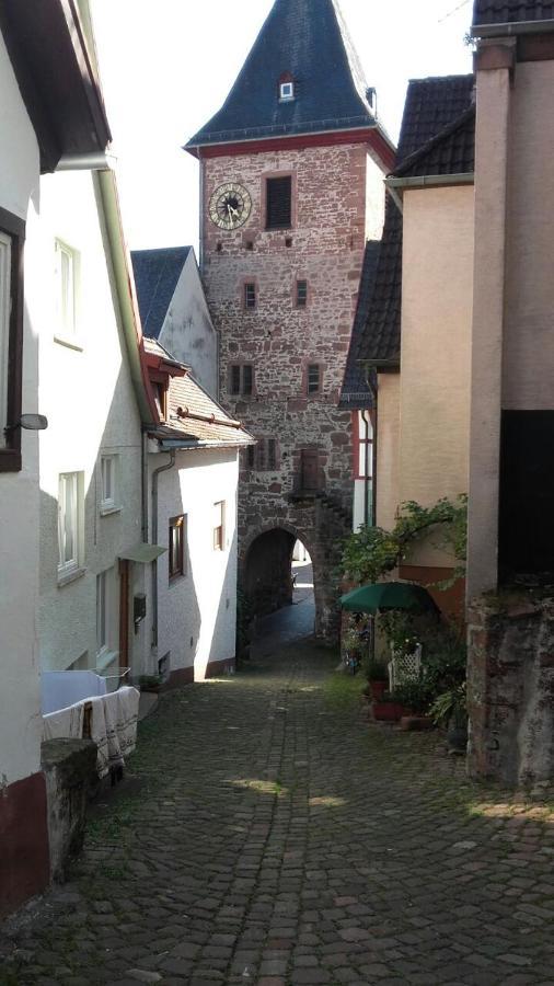 Apartament Luftkurort, Perle Des Neckartals Hirschhorn Zewnętrze zdjęcie