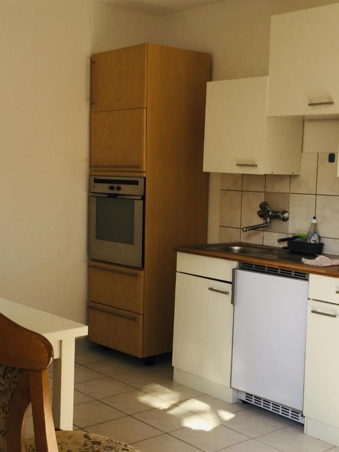 Apartament Luftkurort, Perle Des Neckartals Hirschhorn Zewnętrze zdjęcie