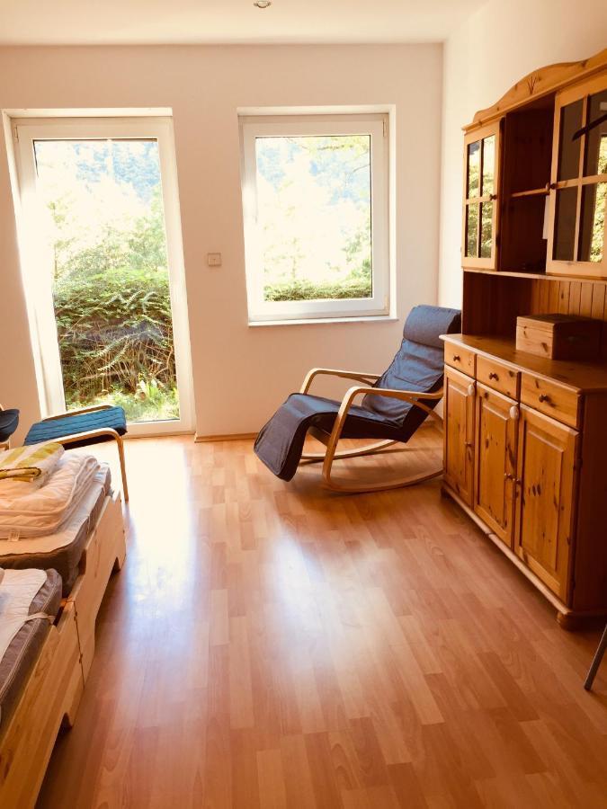Apartament Luftkurort, Perle Des Neckartals Hirschhorn Zewnętrze zdjęcie