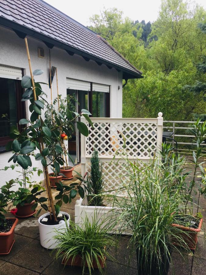 Apartament Luftkurort, Perle Des Neckartals Hirschhorn Zewnętrze zdjęcie