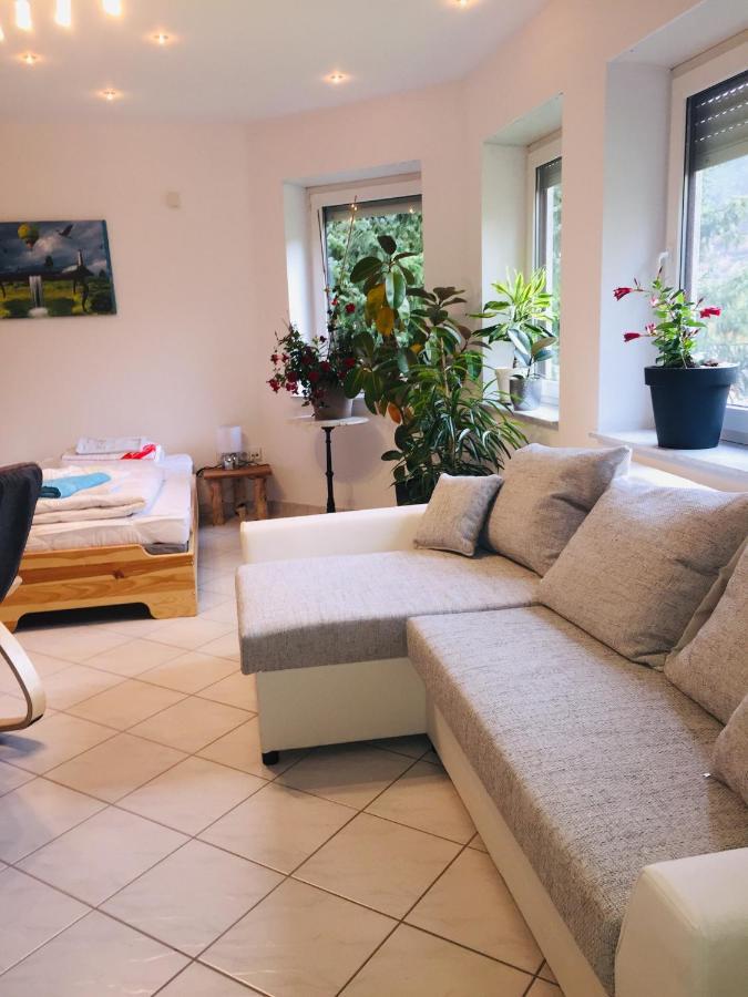 Apartament Luftkurort, Perle Des Neckartals Hirschhorn Zewnętrze zdjęcie